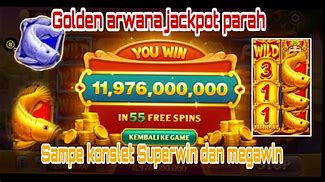 Slot Baru Ikan Arwana Super Red Kalimantan Timur Harga Berapa